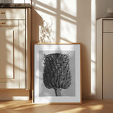 Cirsium Canum (Thistle) Poster och Canvastavla