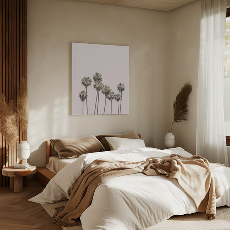 Blush Palms Poster och Canvastavla