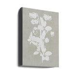 Botanical Illustration 4 Poster och Canvastavla