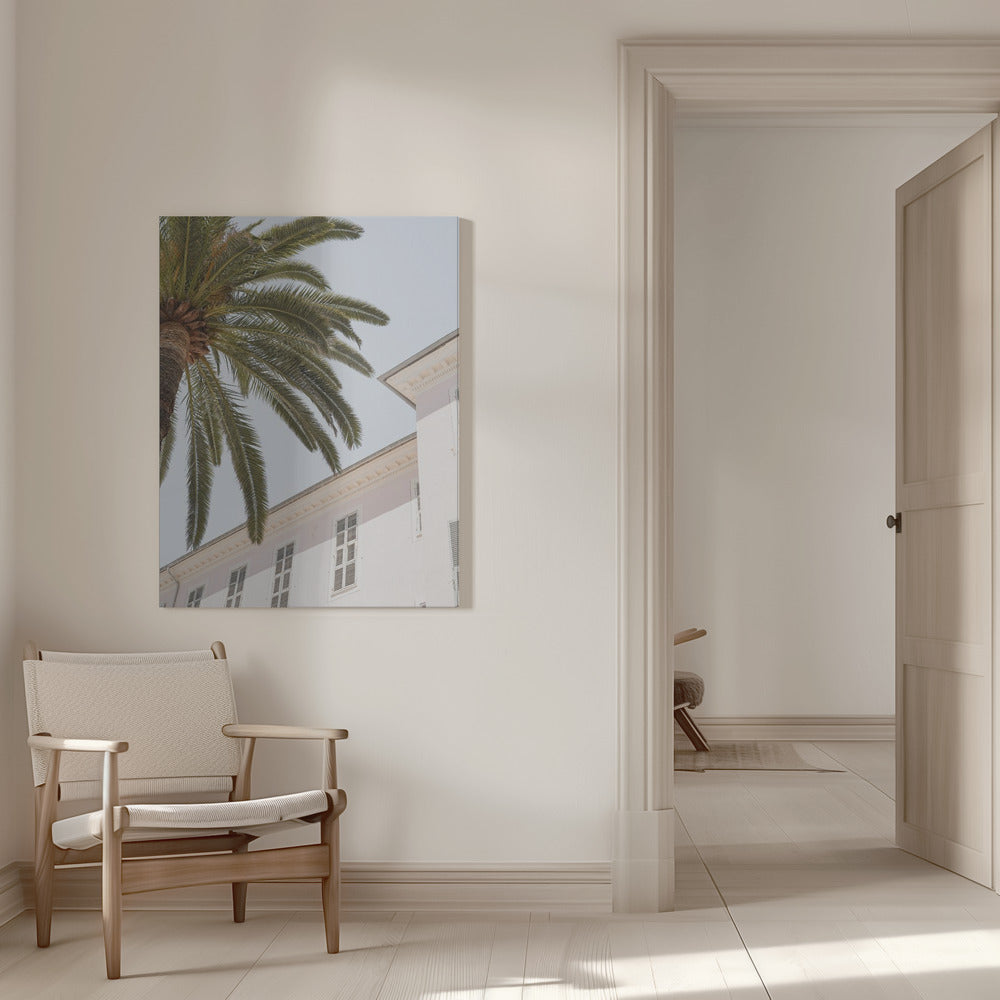 Tropical Menton Poster och Canvastavla