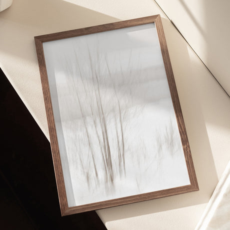 Winter White Poster och Canvastavla