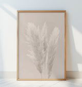 Pampas Grass_002 Poster och Canvastavla