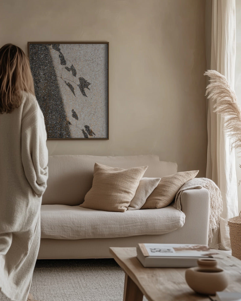 Botanical shadow on the wall Poster och Canvastavla