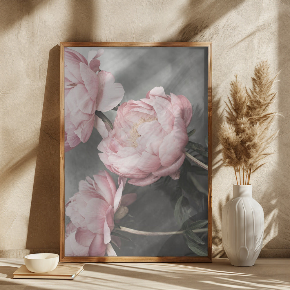 01643 Poster och Canvastavla