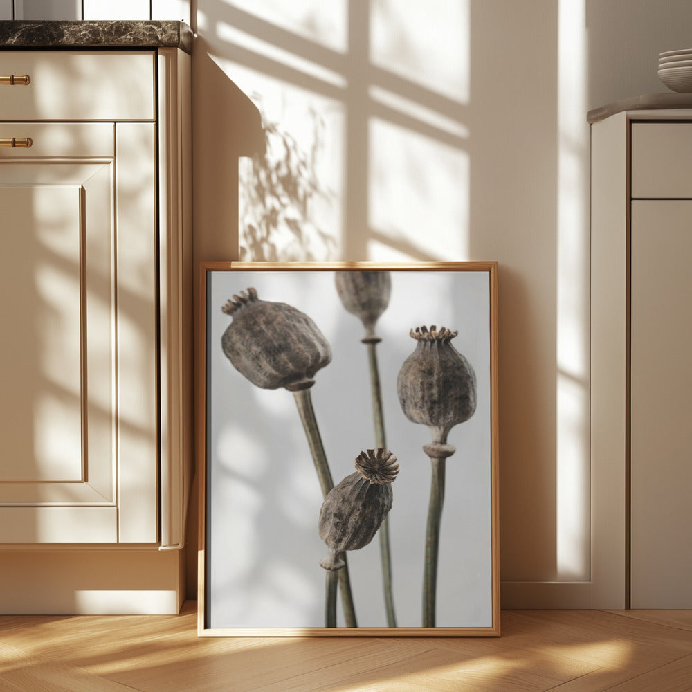 Dried_006 Poster och Canvastavla