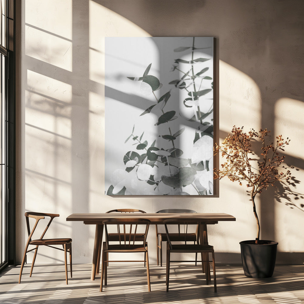 Eucalyptus Creative 10 Poster och Canvastavla