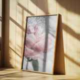 Peony 3 Poster och Canvastavla