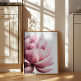 Peony 1 Poster och Canvastavla