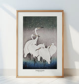 Group Of Egrets Poster och Canvastavla