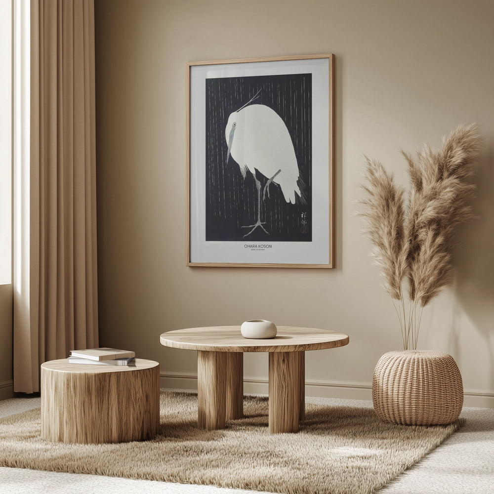 Egret In The Rain Poster och Canvastavla