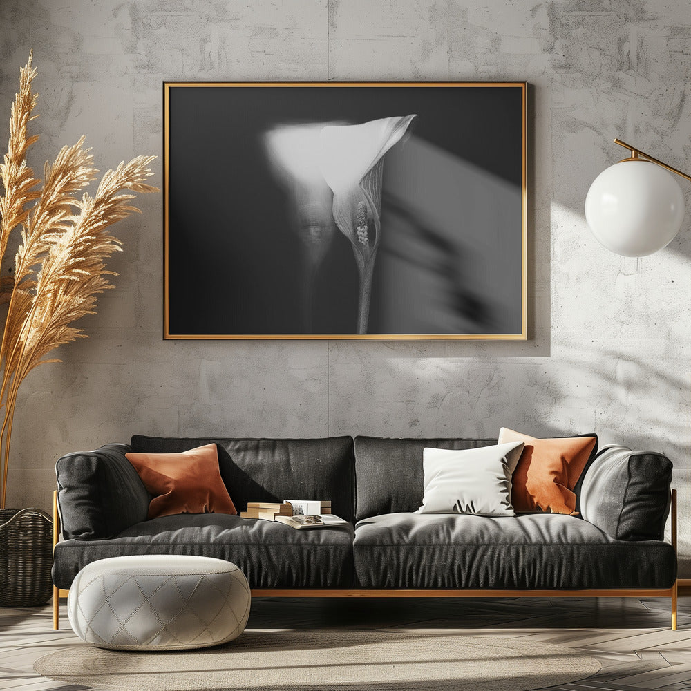 lucid dream Poster och Canvastavla