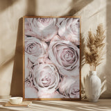 Pink Roses No 01 Poster och Canvastavla