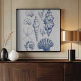 11x14 Shell Collage Poster och Canvastavla