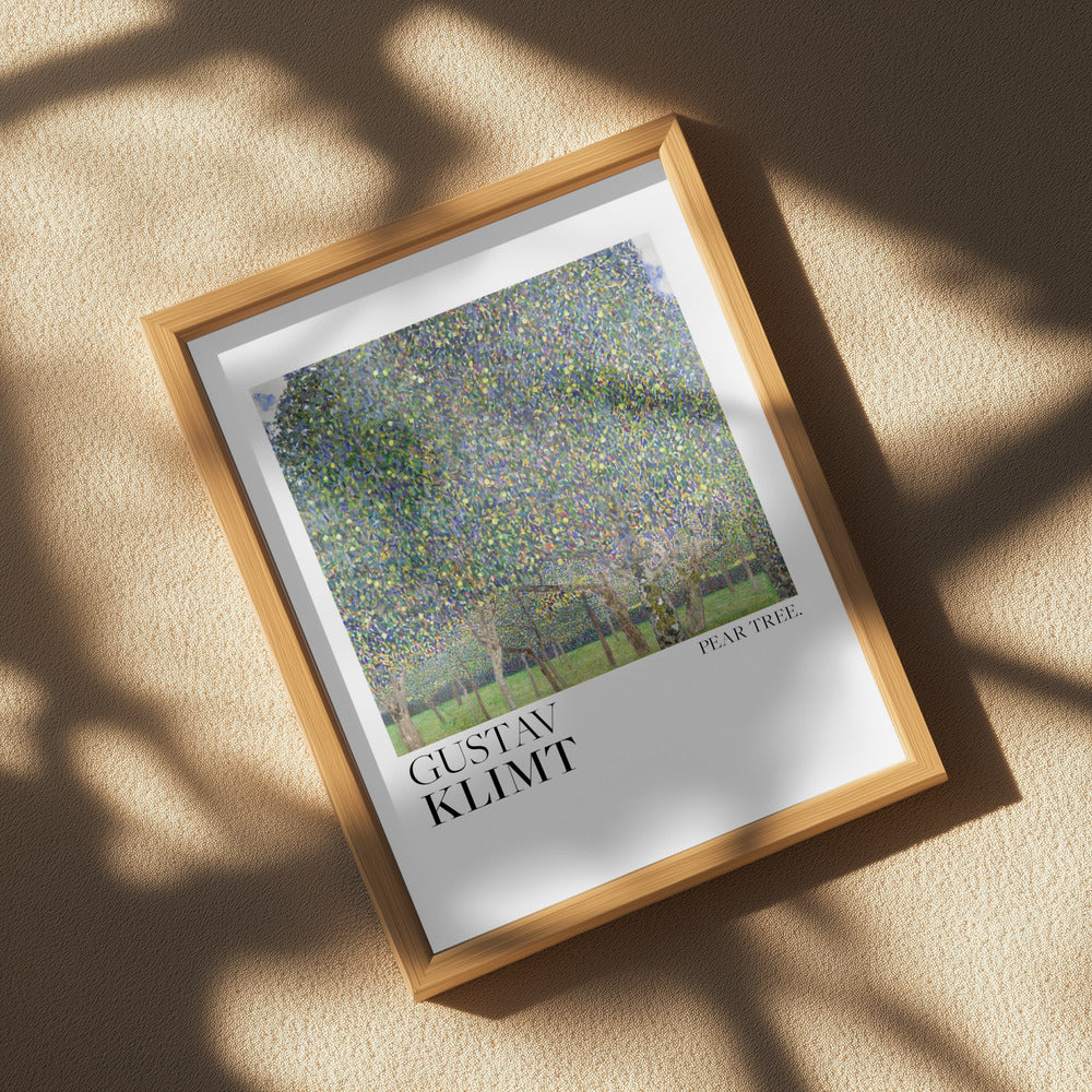 Pear Tree (1903) Poster Poster och Canvastavla
