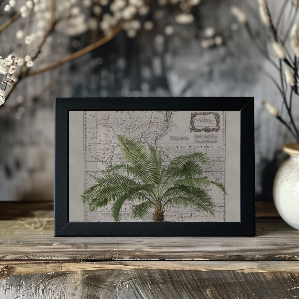 Tropical Empire No2 Poster och Canvastavla