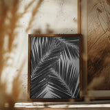 Palm Leaf Black & White III Poster och Canvastavla