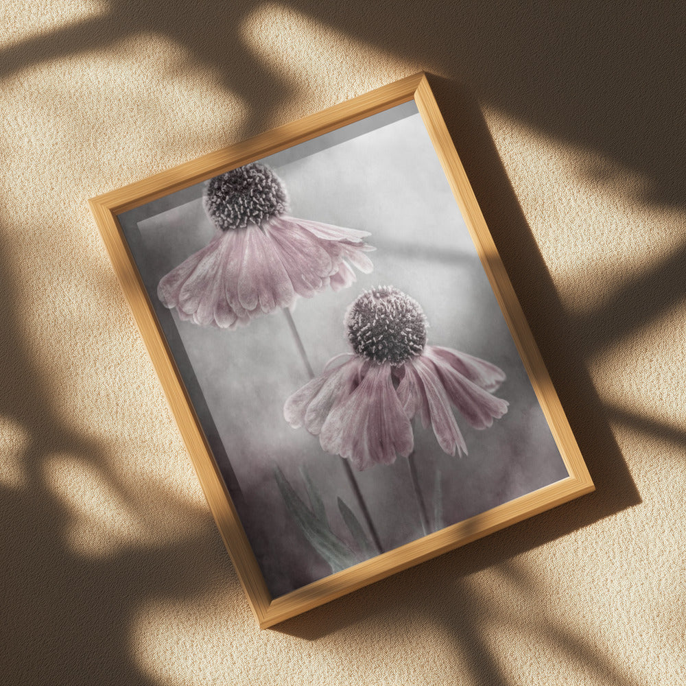 Duet Poster och Canvastavla