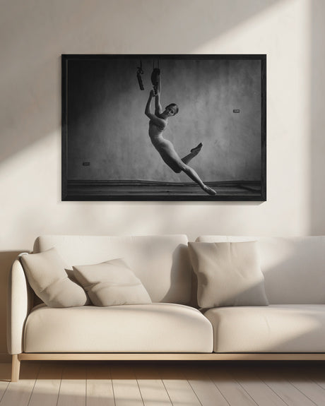 I can't fly Poster och Canvastavla