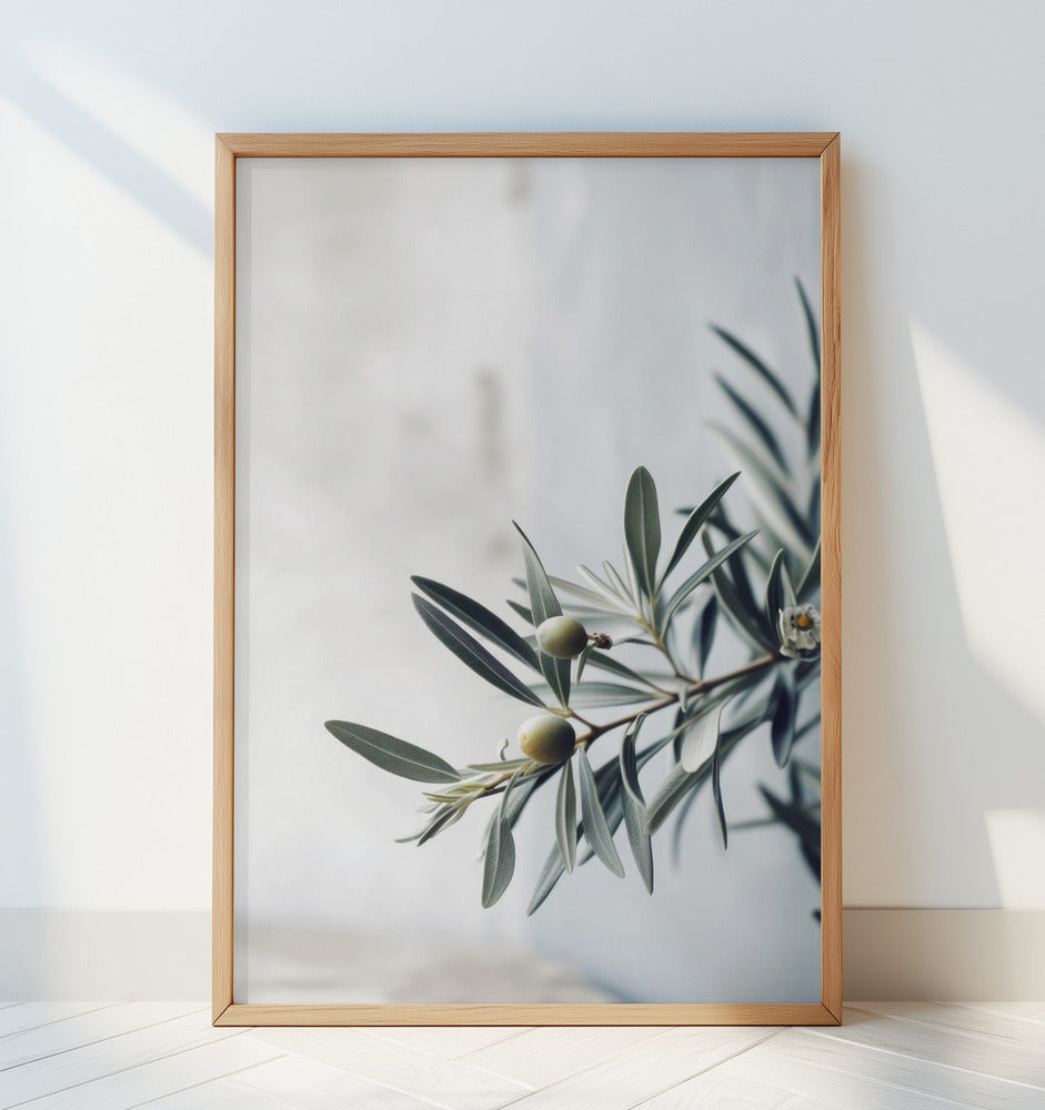Olives Poster och Canvastavla
