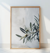 Olives Poster och Canvastavla