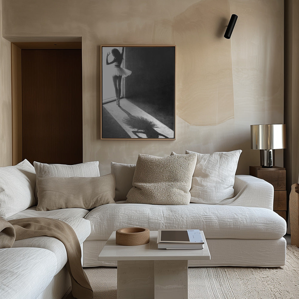 Shadow Dance Poster och Canvastavla