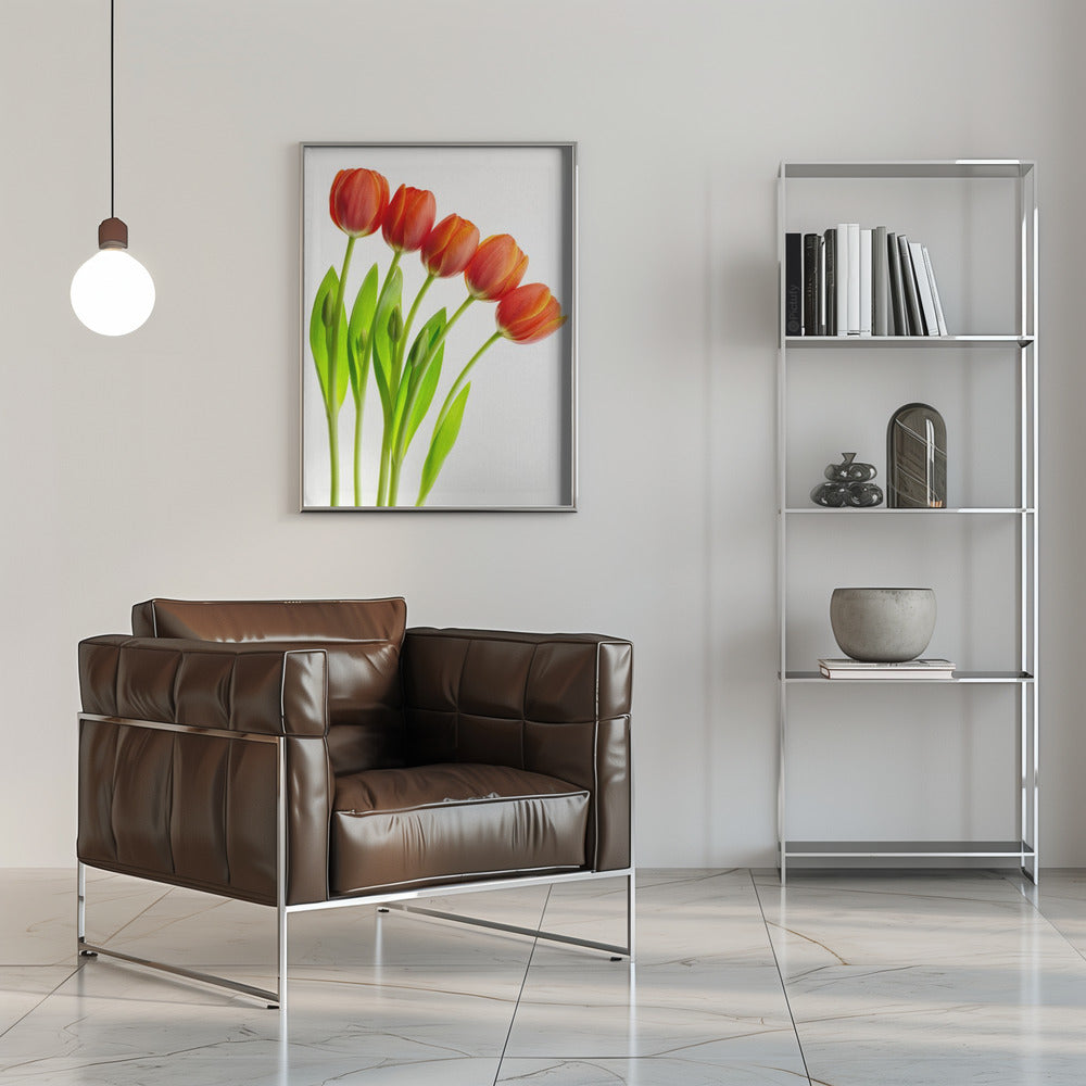 five tulips Poster och Canvastavla