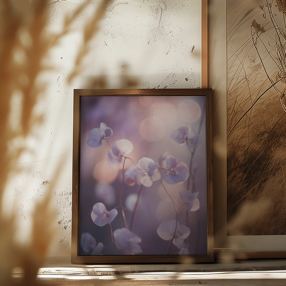 Tiny Aubrieta Poster och Canvastavla