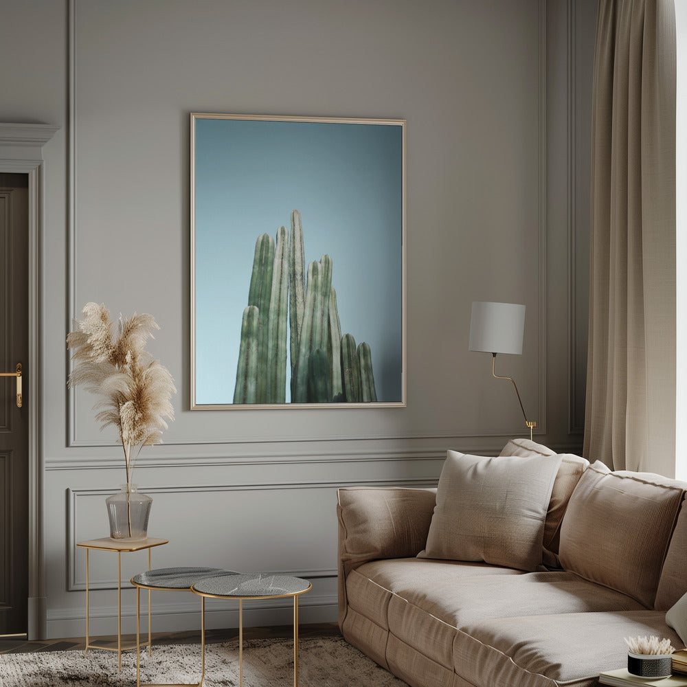 Cacti Poster och Canvastavla