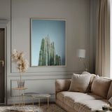 Cacti Poster och Canvastavla