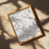 Wild Grass Poster och Canvastavla