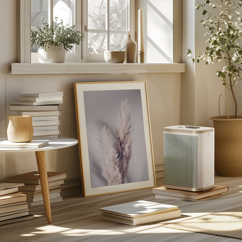 Pampas Grass Poster och Canvastavla