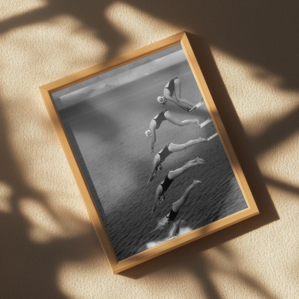 The beauty of diving Poster och Canvastavla