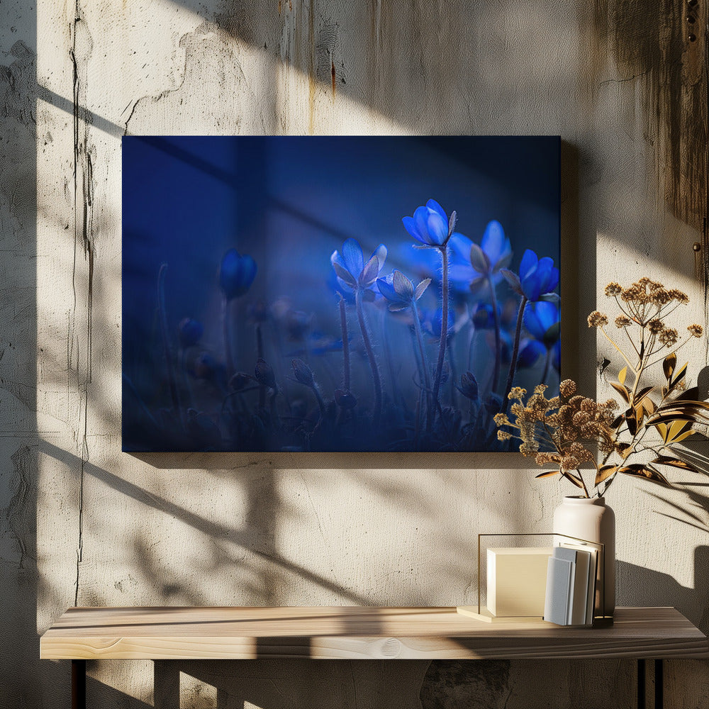 Out of the blue Poster och Canvastavla
