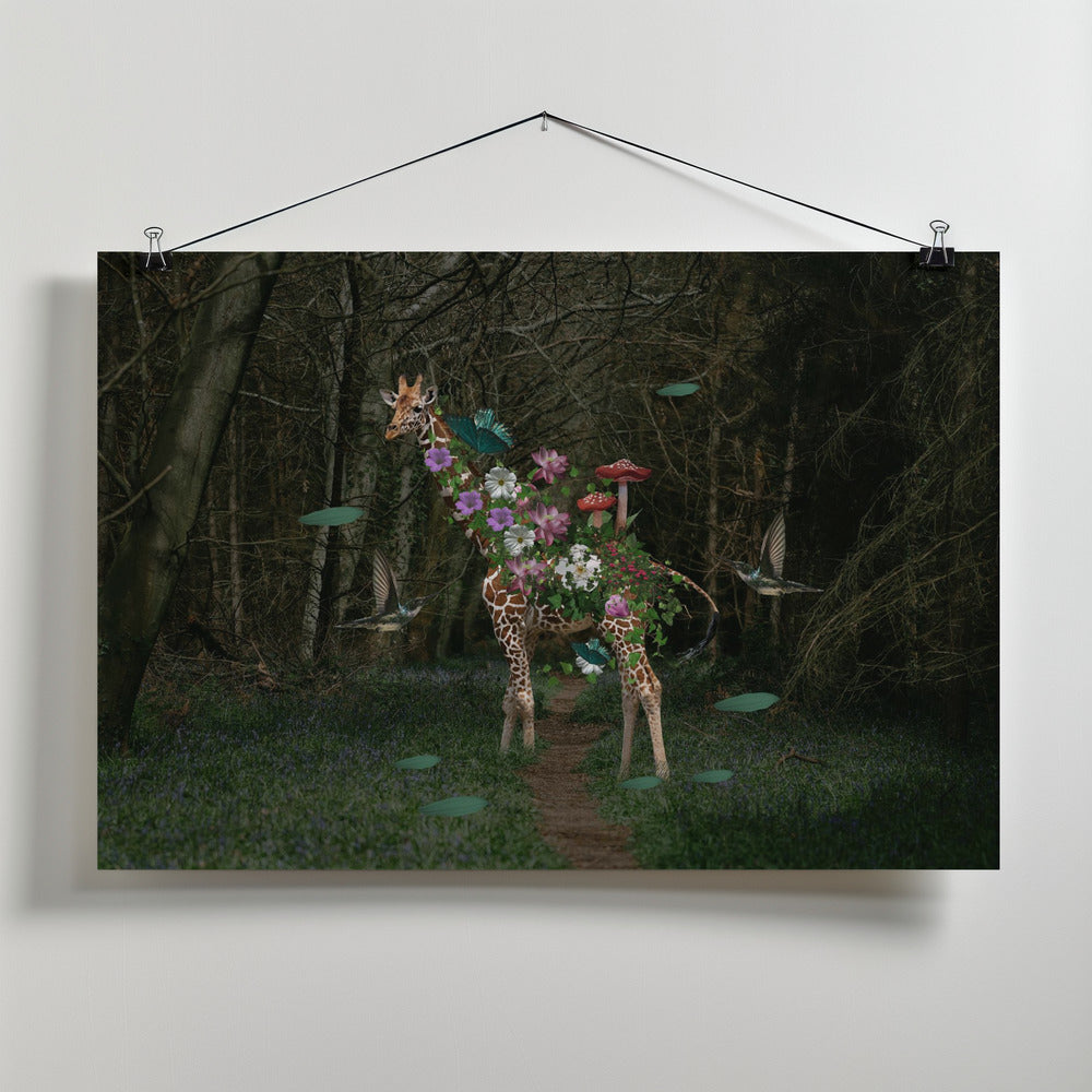 Giraffe Poster och Canvastavla