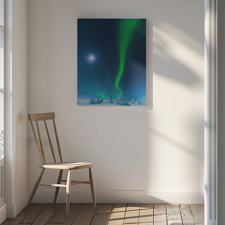 Moon light Poster och Canvastavla