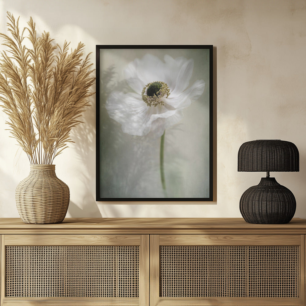 Single White Poster och Canvastavla