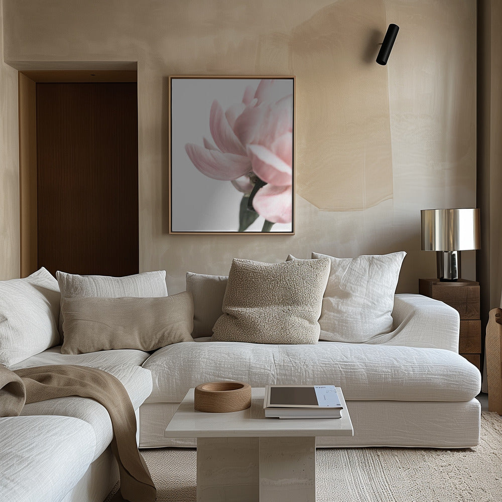 Peony 2 Poster och Canvastavla