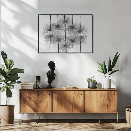 pasque flower energy Poster och Canvastavla