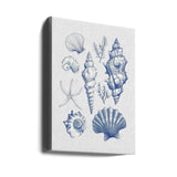 11x14 Shell Collage Poster och Canvastavla