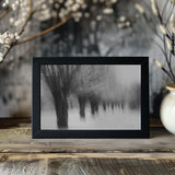 Winterwillows Poster och Canvastavla