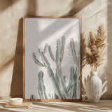 Sunrise Cactus Poster och Canvastavla