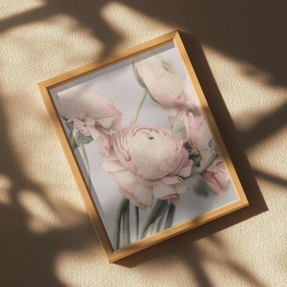 01644 Poster och Canvastavla