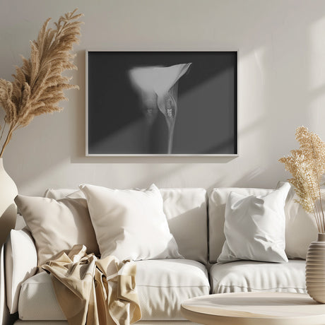 lucid dream Poster och Canvastavla