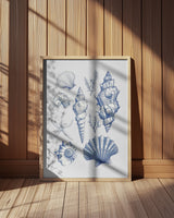 11x14 Shell Collage Poster och Canvastavla