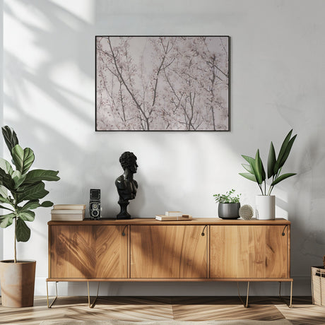 Spring blossoms Poster och Canvastavla