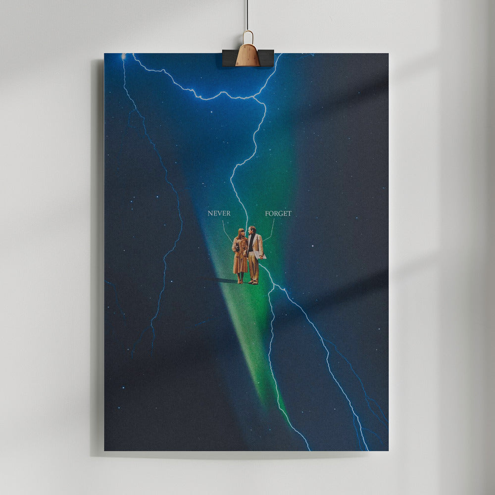 #160 Poster och Canvastavla
