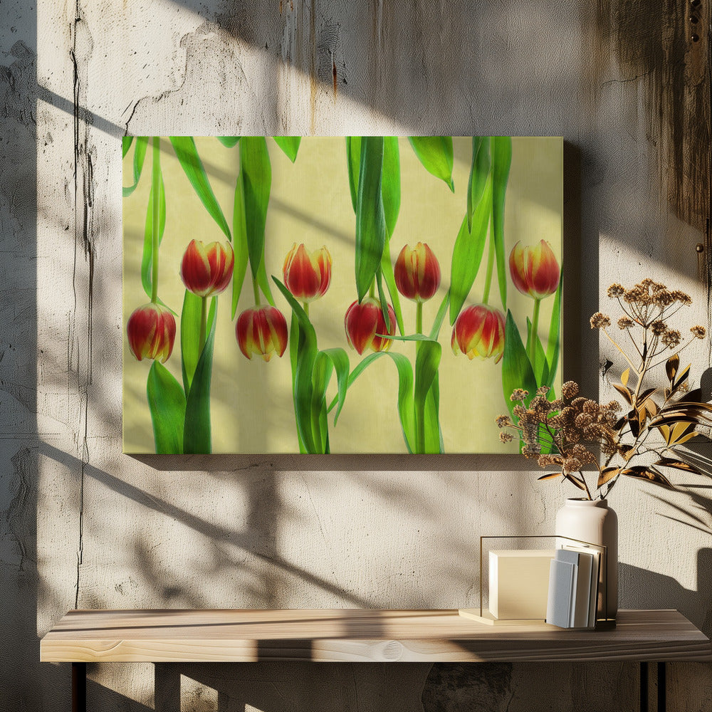 tulips Poster och Canvastavla