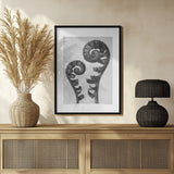 Aspidium Filix Mas Poster och Canvastavla