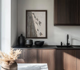 Botanical shadow on the wall Poster och Canvastavla