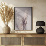 Pampas Grass Poster och Canvastavla